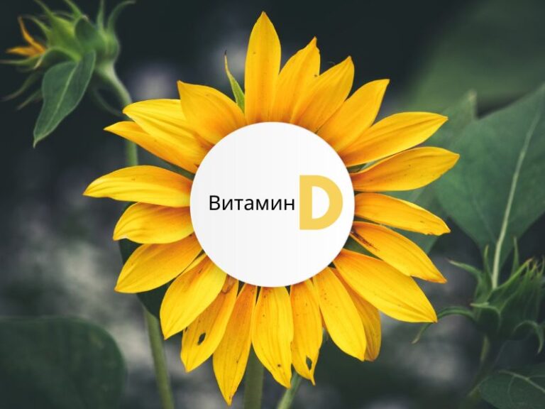 Read more about the article Недостаток витамина Д и формула для оптимизации уровня в организме