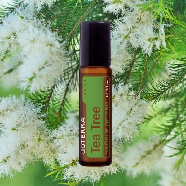 Чайне дерево ролер