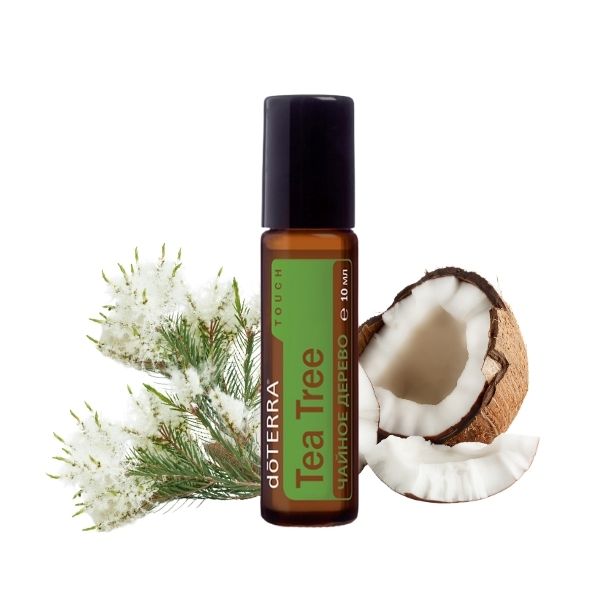 Чайное дерево роллер