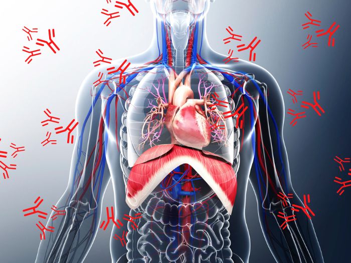 Аутоімунний протокол