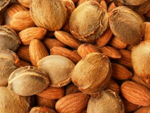 Что такое витамин B17