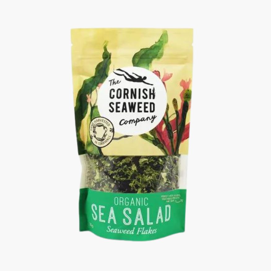 морські водорості