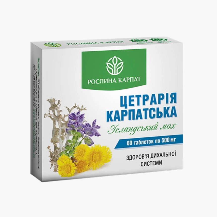 Цетрария Карпатская от Рослина Карпат: лечение верхних дыхательных путей