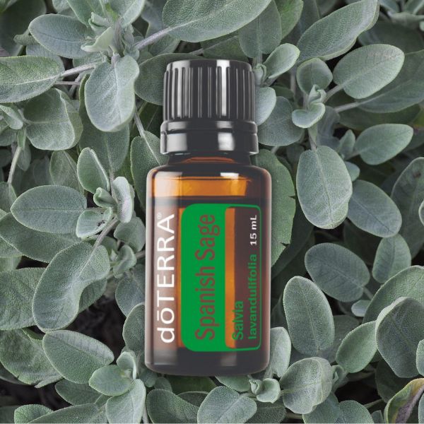 Ефірна олія Іспанська шавлія