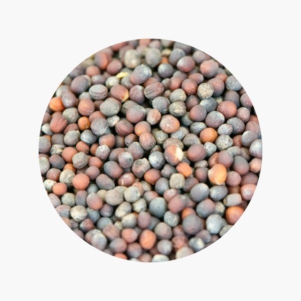 Насіння броколі для пророщування – джерело корисних речовин для вашого здоров’я | 50 g