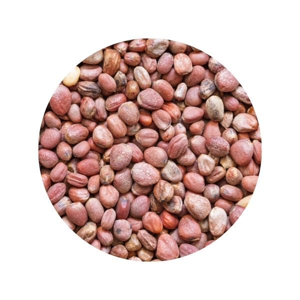 Органічне насіння редиски для пророщування | Organic Radish Seeds for Sprouting | 30 g