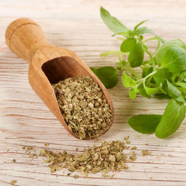 приправа орегано